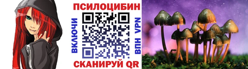 где продают Каменск-Уральский Псилоцибиновые грибы прущие грибы